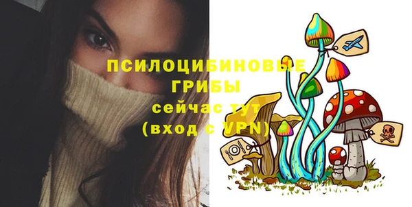 СК Сафоново