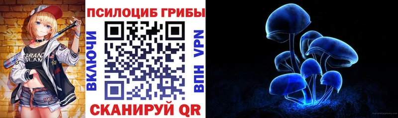 где можно купить   Калач-на-Дону  Галлюциногенные грибы прущие грибы 