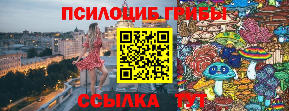 Псилоцибиновые грибы Magic Shrooms Калач-на-Дону