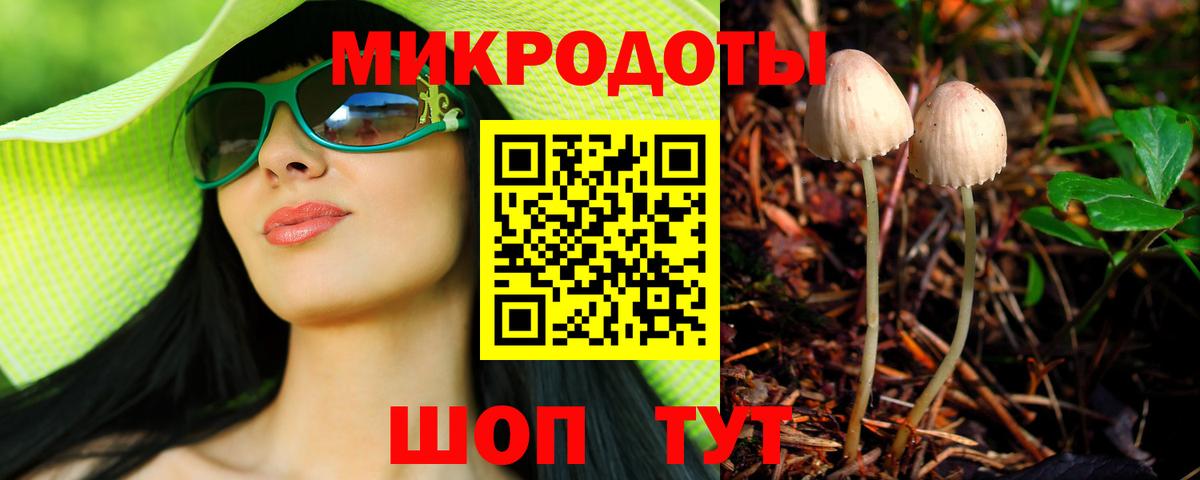 закладки  Вход с VPN  Калач-на-Дону  Галлюциногенные грибы GOLDEN TEACHER 